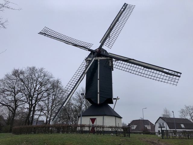 Rosmalogie op de molen van Rosmalen